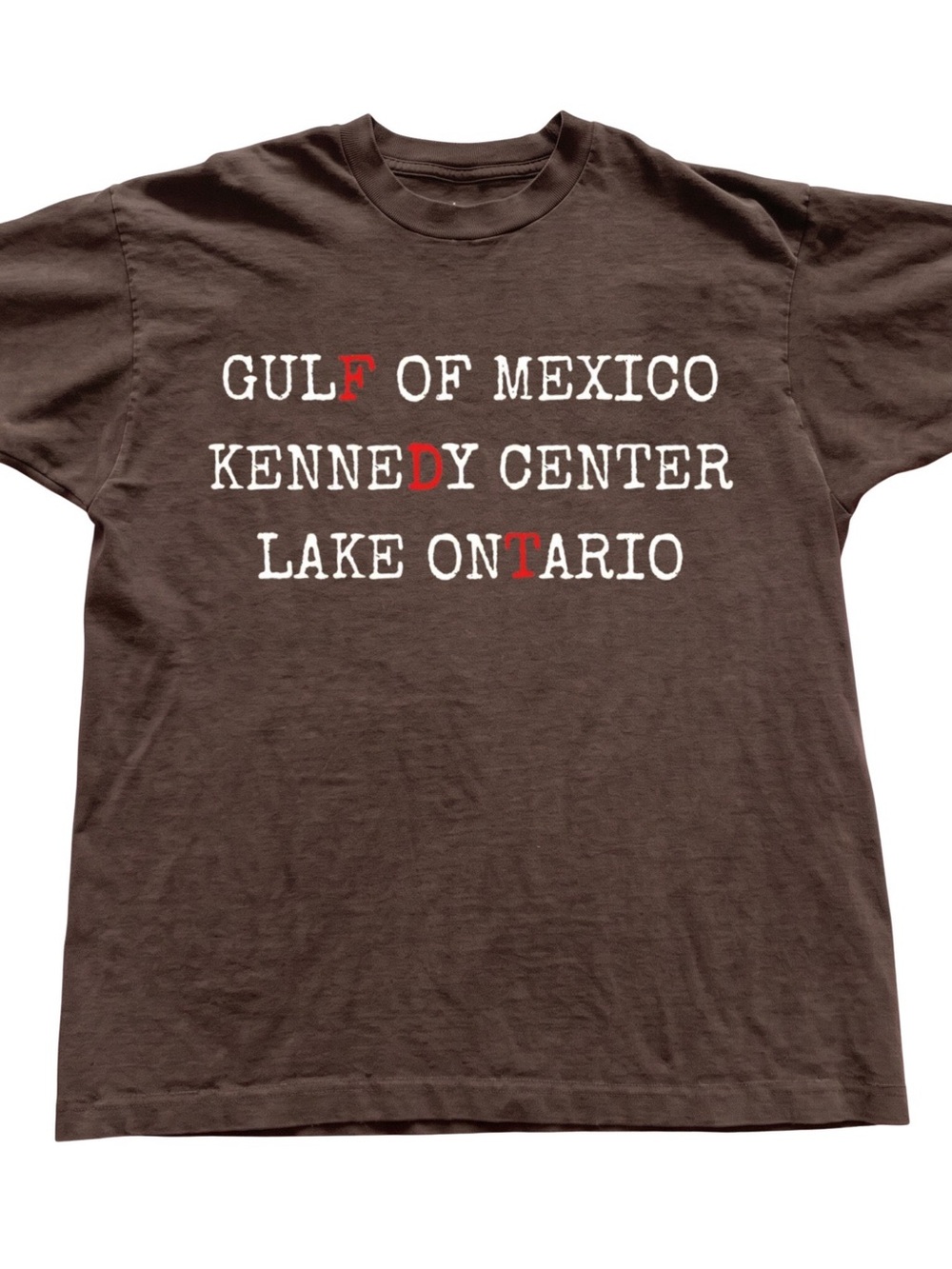 Gildan Brown Graphic Tee with White and Red Text, Gift For Her, For Him
